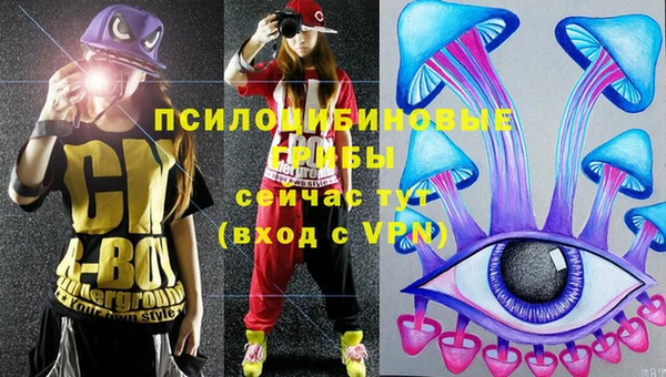 круглые Пестово