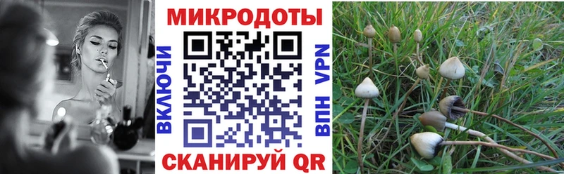 Галлюциногенные грибы мухоморы Солигалич