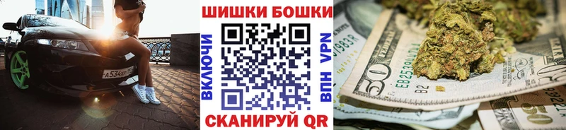 Конопля гибрид  Солигалич 